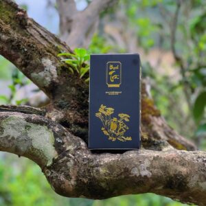 Bạch Trà Shan Tuyết cổ thụ