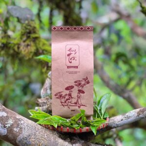 Hồng trà Shan Tuyết cổ thụ