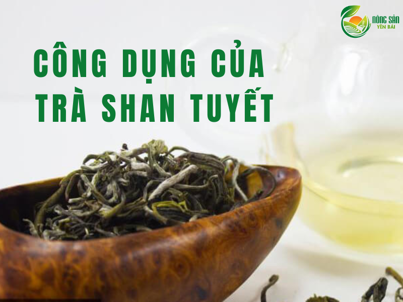 tra-shan-tuyet-co-tac-dung-gi