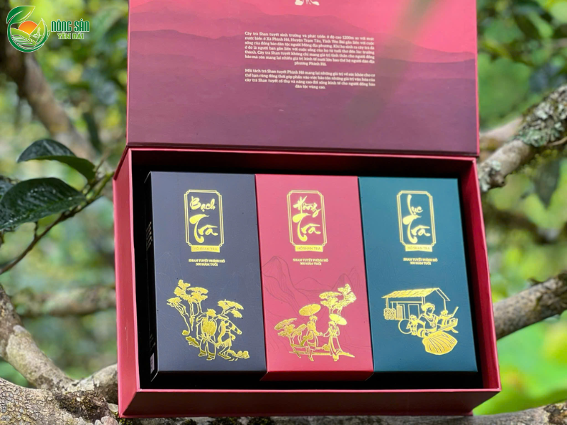 set-qua-bieu-tet-2