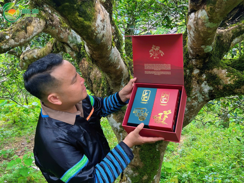 set-qua-bieu-tet-1