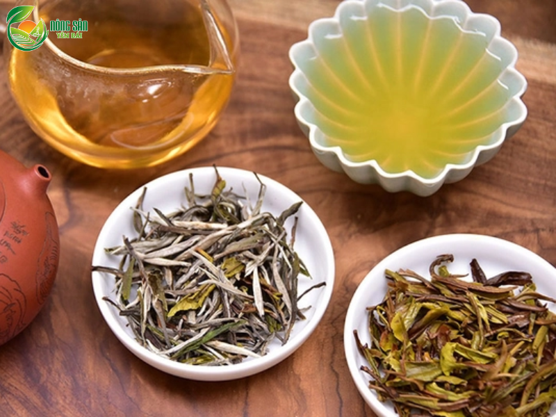 bach-tra-shan-tuyet-5