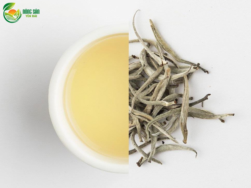 bach-tra-shan-tuyet-3