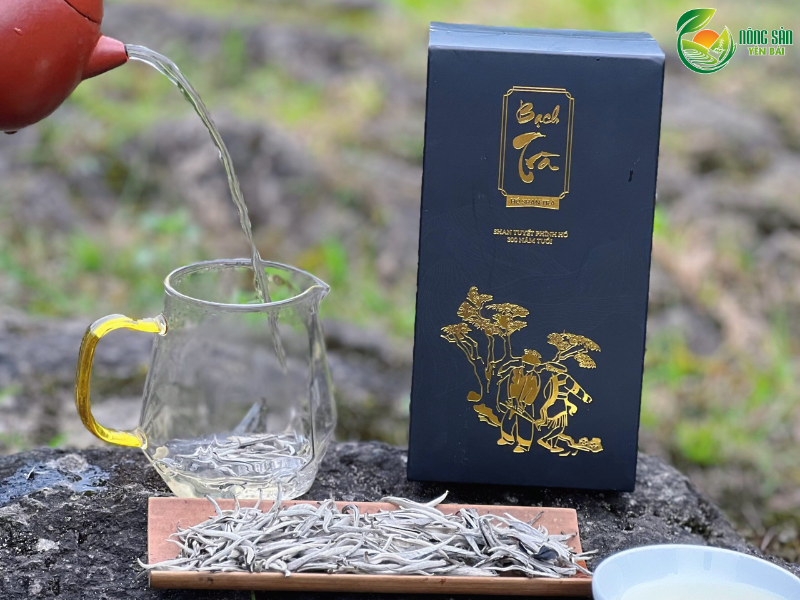 bach-tra-shan-tuyet-6