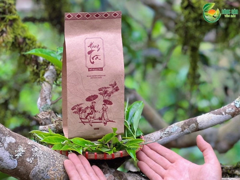 Hồng trà Shan tuyết cổ Thụ