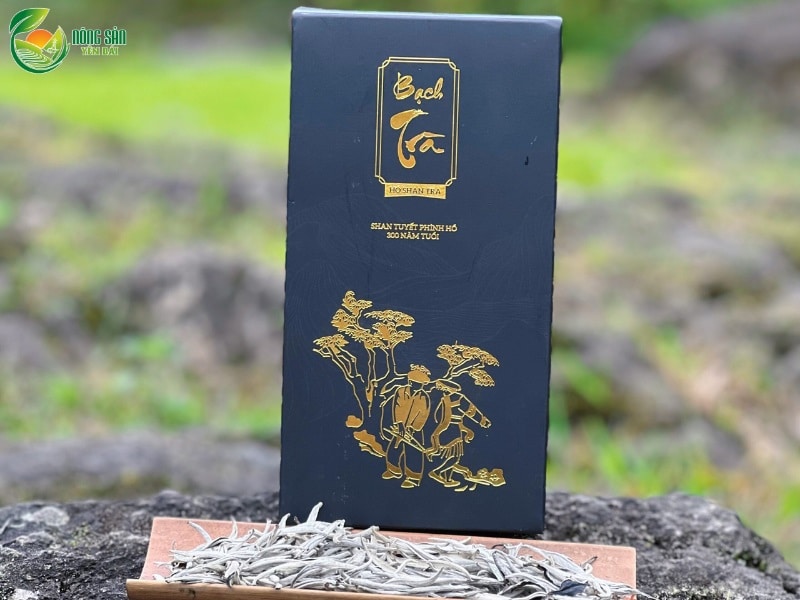 Bạch trà Shan tuyết cổ thụ