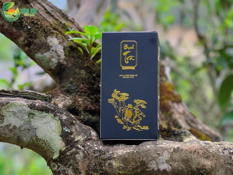 Top 5 loại trà nhất định phải thử trong dịp tết