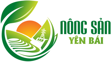 Nông Sản Yên Bái
