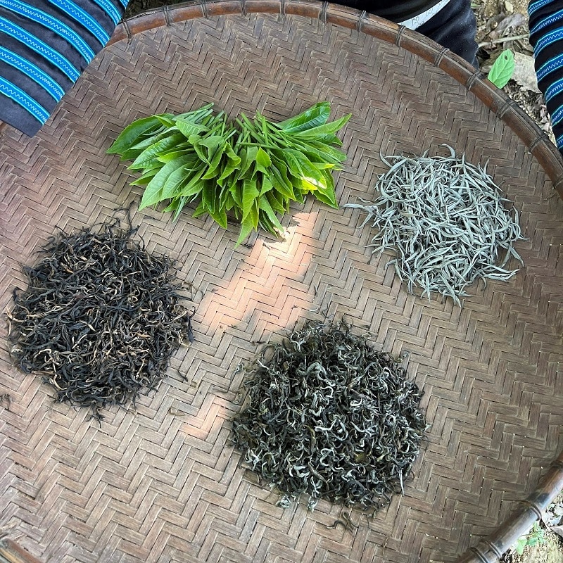 Các loại trà shan tuyết