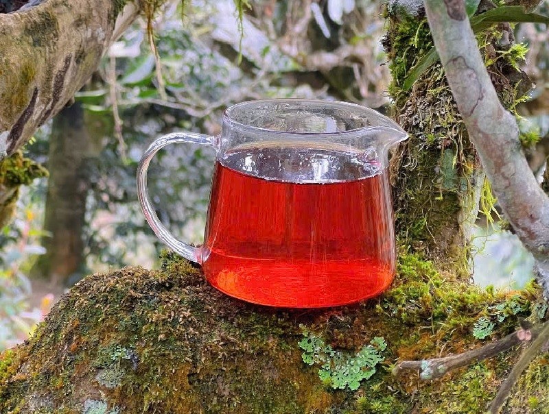 Hồng trà shan tuyết mang nhiều công dụng tuyệt vời cho sức khỏe