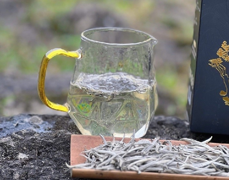 Bạch trà có hàm lượng caffeine ít, giúp thư giãn, dễ ngủ