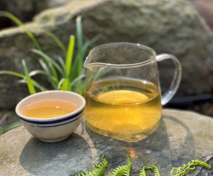 Uống trà shan tuyết có mất ngủ không? Sử dụng thế nào hợp lý?
