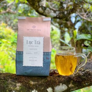Lục Trà Shan Tuyết Cổ Thụ – Lục Trà Trường Sinh